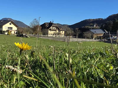 Bild 69 aus  Bauernhof  Wernhof