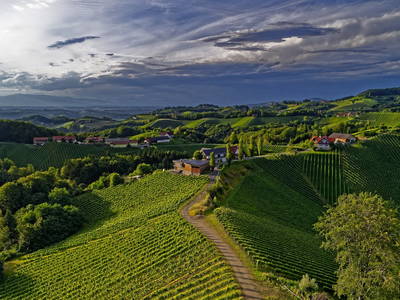 Bild 2 aus  Weingut  Paschek