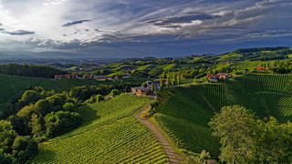 Weingut  Paschek aus Arnfels