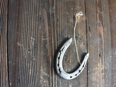 Bild 43 aus  Jagahütte