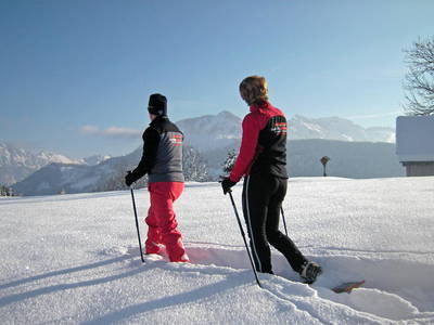 Bild 59 aus  Gmeinder's Landhaus