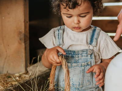 Bild 55 aus  Hattlerhof