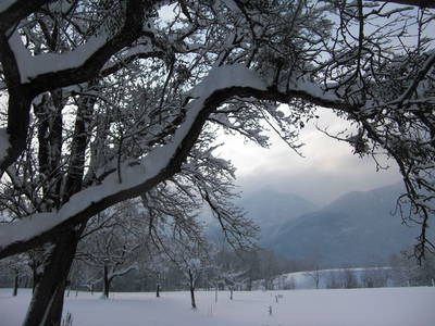 Bild 47 aus  Starbauer