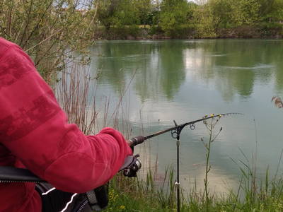 Bild 26 aus  Bauerhofurlaub zwischen den Touristenattraktionen Gardasee, Verona und Mantua