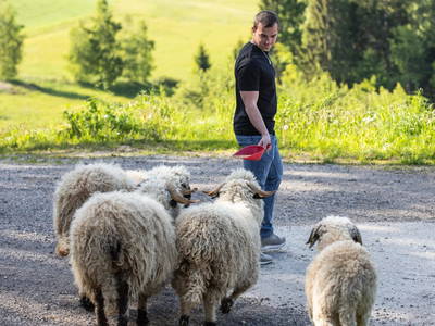 Bild 54 aus Ferienwohnungen Kagerer