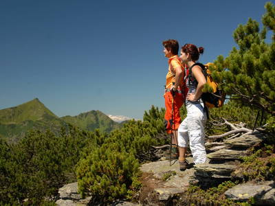 Bild 84 aus  Pension Glitschnerhof