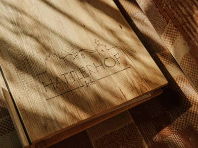 Bild 35 aus  Hattlerhof