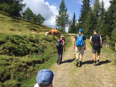 Bild 80 aus  Sportbauernhof Hochalmblick