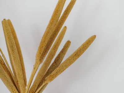 Bild 61 aus  Knappenhof