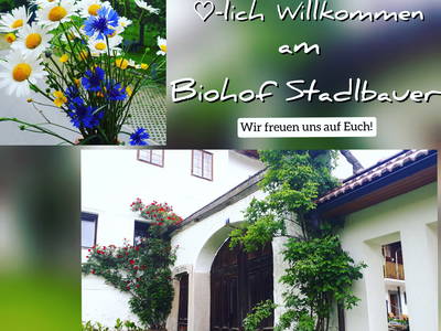 Bild 79 aus  Biohof Stadlbauer