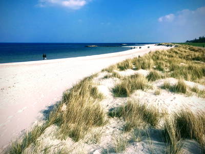 Bild 4 aus  Ferienhof Wisch an der Ostsee