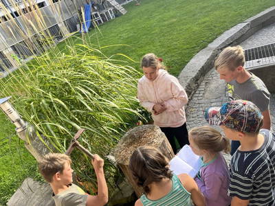 Bild 114 aus  Wittinghof