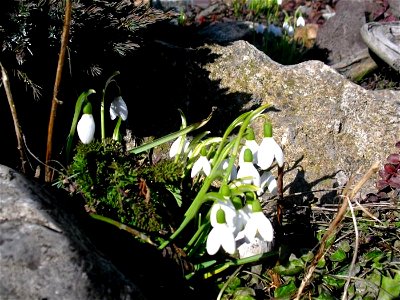 Bild 10 aus Biobauernhof Morhof