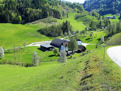 Bild 29 aus  Oberrehau