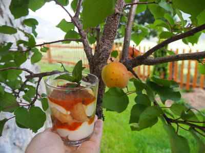 Bild 64 aus  Bauernhof Oberscheffau