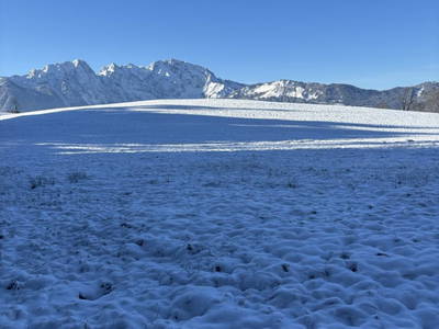 Bild 43 aus  Buchnerhof