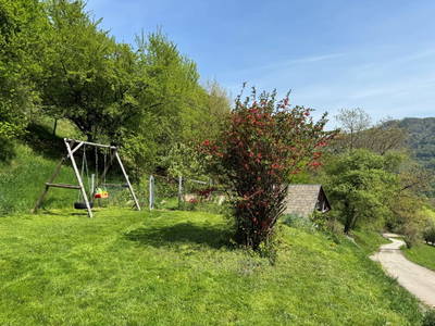 Bild 7 aus  Gsangerer