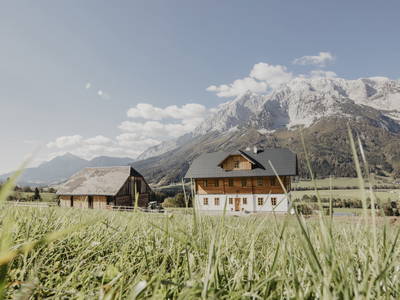 Bild 35 aus  Goschn Lehen