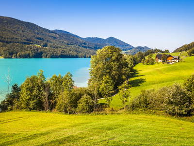 Bild 2 aus  Feldbauer