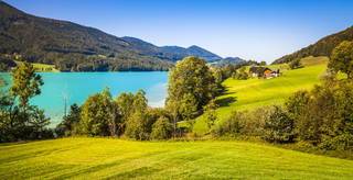 Feldbauer aus Fuschl am See