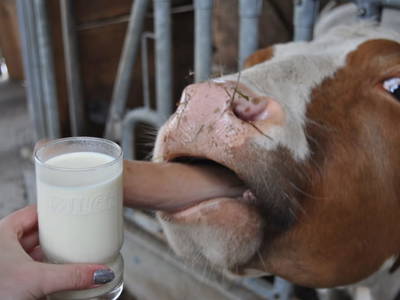 Bild 59 aus  Ferienhaus Lenzau