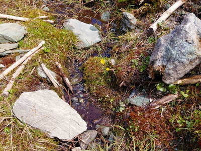 Bild 56 aus  Hoislbauernhütte