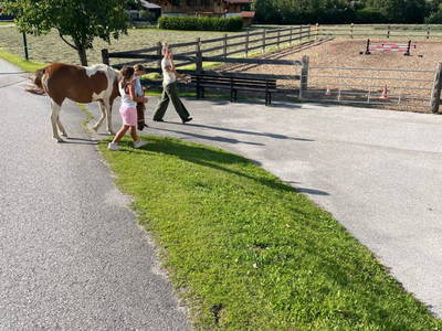 Bild 161 aus  Heisshof 