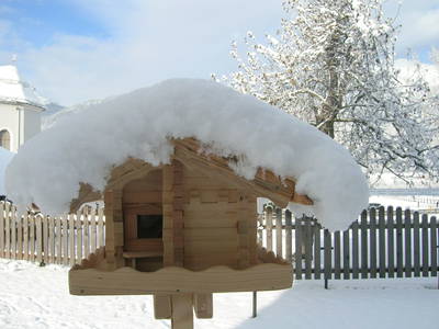 Bild 21 aus  Mandlhof