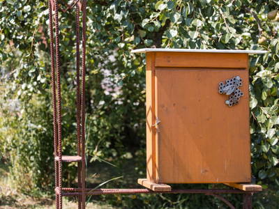 Bild 10 aus  Ferienwohnung Engel