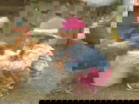 Bild 11 aus  Ferienhof Haselheide