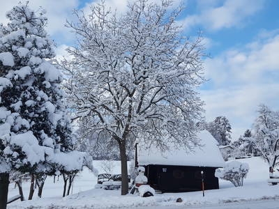 Bild 52 aus  Ferienhof Leopold in der Grub