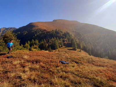 Bild 45 aus  Hoislbauernhütte