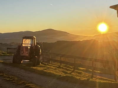 Bild 12 aus  Schoberkogelhütte