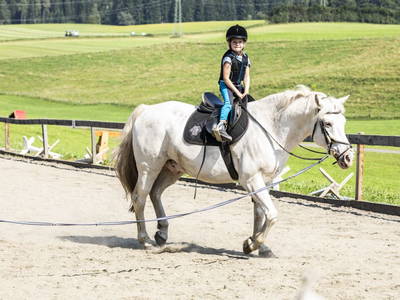 Bild 191 aus  Kuchlbauer