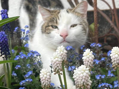 Bild 50 aus  Ascherhof