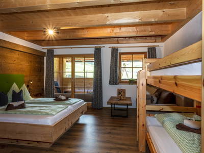 Bild 97 aus  Enzianhütte im Habachtal