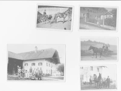 Bild 34 aus  Stiedlbauerhof