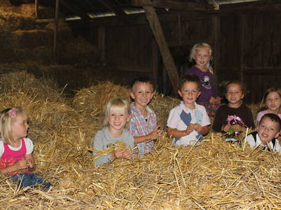 Bild 15 aus  Hof Grünberg