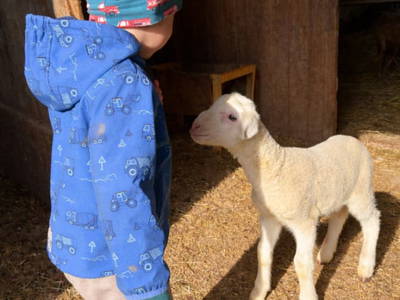 Bild 13 aus  Mörthandrä Hütte 