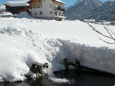 Bild 11 aus  Brunnerhof