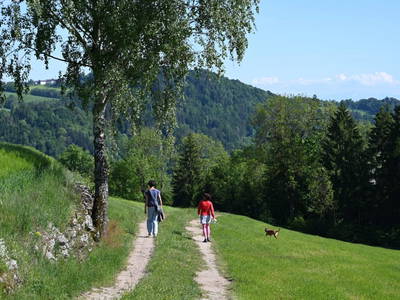 Bild 20 aus Sommerfrische Edt - Nostalgiehof - leben wie damals