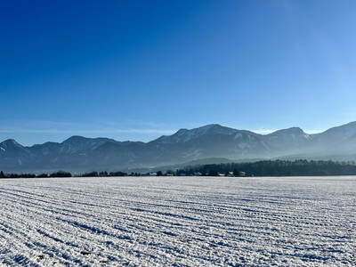 Bild 65 aus  Beim Leben