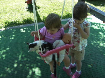 Bild 142 aus  Bauernhof Katin