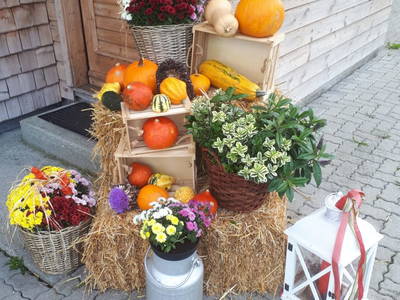 Bild 74 aus  Weißsteinalm