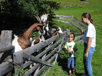 Bild 86 aus  Sturm-Archehof