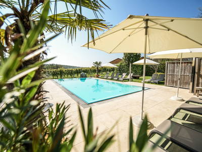 Bild 18 aus  Weingut Krispel