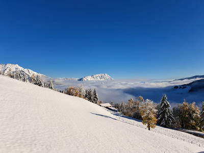 Bild 81 aus  Kirchenbichler