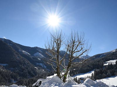 Bild 51 aus  Hinteregger