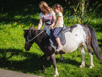 Bild 77 aus Familienhotel Hochrieß