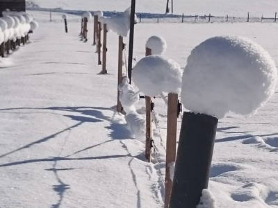 Bild 55 aus  Ployergut